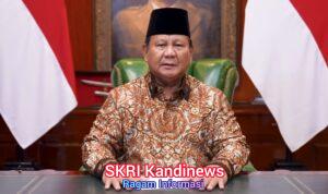 WhatsApp Image 2025-12-25 at 20.25.05