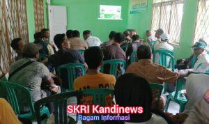 Lewat Zoom, BPP Jampangkulon Gelar Syukuran Panen Raya Swasembada Pangan