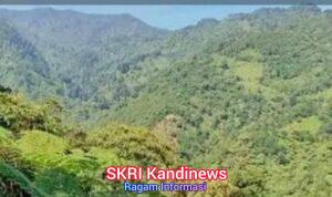 WhatsApp Image 2026-02-01 at 11.52.38