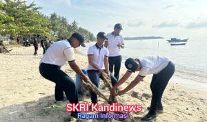 Lanal Dabo Singkep Gelar Aksi Bersih Pantai Dalam Program “Pantai Bersih” di Pantai Sekop