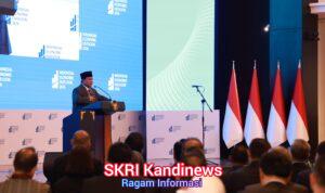 WhatsApp Image 2026-02-14 at 16.57.49