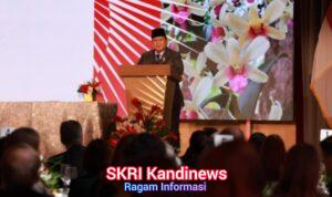 WhatsApp Image 2026-02-19 at 20.05.35