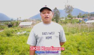 Petani Manggarai NTT: Sejak Ada MBG, Harga Wortel Kami Naik 3 Kali Lipat