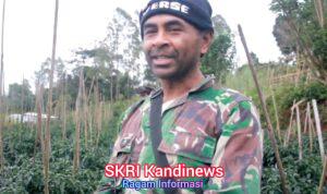 Petani NTT Bersyukur, 3.000 Pohon Buncis Terserap Semua Berkat MBG