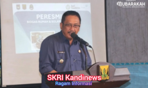 image - 2026-02-15T164324.314