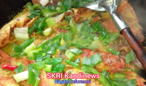 Masakan Rumah, Cinta Keluarga, dan Gerakan Gemar Makan Ikan