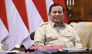 WhatsApp Image 2026-03-19 at 22.15.19