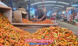 WhatsApp Image 2026-03-23 at 18.28.34