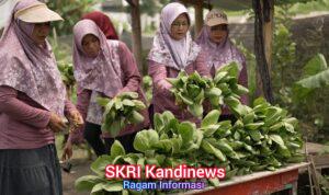 WhatsApp Image 2026-04-03 at 13.53.23