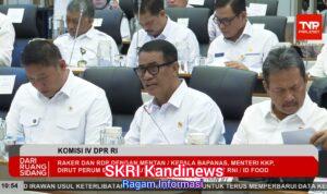 Pemerintah: Ketersediaan Jagung, Gula, hingga Telur Ayam Diproyeksikan Surplus Jelang El Nino Godzilla