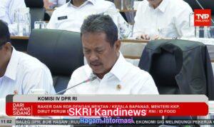 Capai 6,27 Miliar Dolar AS Tahun 2025, Ekspor Produk Perikanan RI Meroket