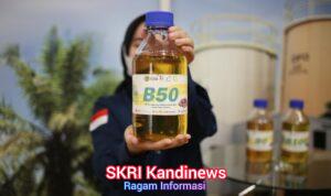 WhatsApp Image 2026-04-07 at 18.15.12