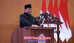 WhatsApp Image 2026-04-11 at 18.20.44