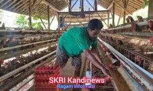 WhatsApp Image 2026-04-24 at 19.57.45