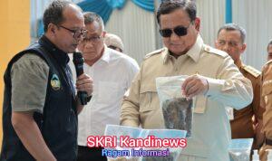 WhatsApp Image 2026-04-29 at 07.50.19