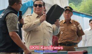 WhatsApp Image 2026-04-29 at 07.50.20