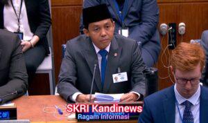 Penurunan Kebakaran Hutan hingga Pengakuan Hutan Adat Disampaikan Pemerintah Indonesia di Forum PBB
