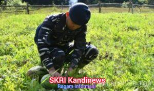 WhatsApp Image 2026-04-30 at 19.01.34
