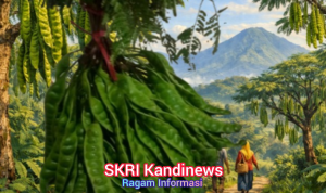Cikakak Sukabumi Dari Durian ke Petai, Potensi Lokal yang Menyehatkan serta Banyak Digemari Masyarakat