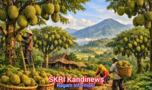 Kekayaan Alam Desa-Desa Kecamatan Cikakak Aneka Macam Durian dari Hasil Perkebunan
