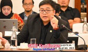 Legislator Partai Gerindra Jangan Sampai Perusahaan Digital Global Untung Besar, Indonesia Hanya Jadi Pasar