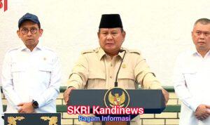WhatsApp Image 2026-07-30 at 14.36.02