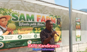 Wisata Petik Melon di Cisolok Resmi Dibuka, Dorong Pertanian Terintegrasi dan Ekonomi Lokal
