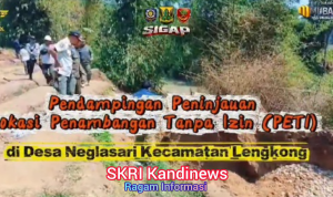 image (1)