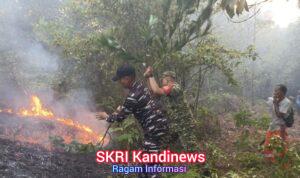 Padamkan Karhutla Cegah Api Meluas, Gerak Cepat TNI AL, Personel Posbinter Pulau Penyengat Lanal Bintan