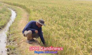 WhatsApp Image 2026-09-12 at 06.54.55 (5)