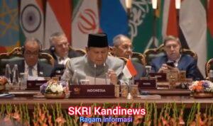 WhatsApp Image 2026-09-13 at 17.34.03